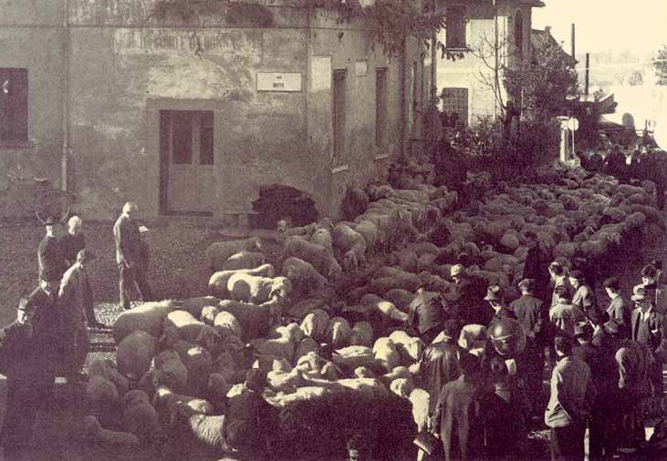 Fiera di Santa Caterina 2022